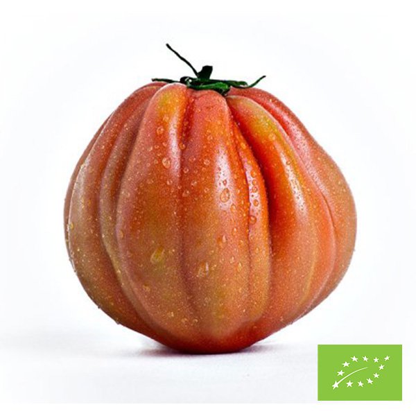 Organic Ox Heart Tomatoes