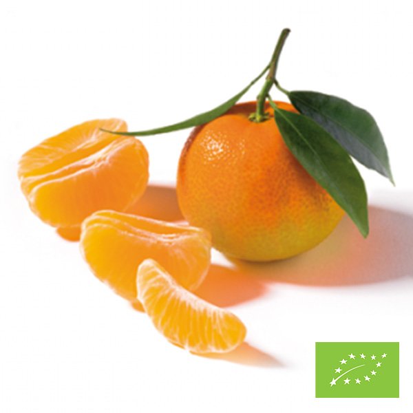 Clementine di Sicilia BIO
