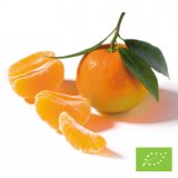 Organic Clementine - Clementine from Sicily