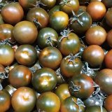 Black Camone Tomatoes