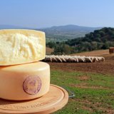 Pecorino Toscano DOP Vertical Tasting