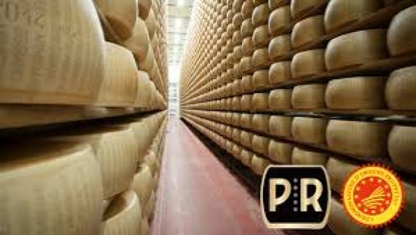 Parmigiano Reggiano DOP Vertical Testing