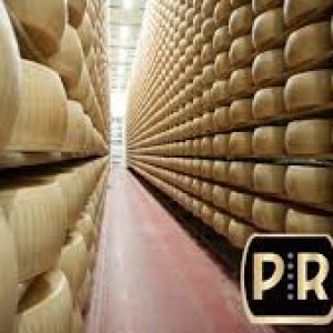 Parmigiano Reggiano DOP Vertical Testing
