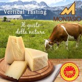 Montasio DOP Vertical Tasting