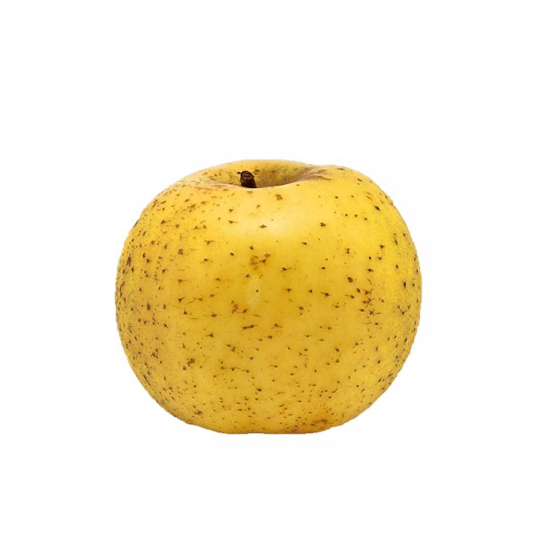 Chantecler apple
