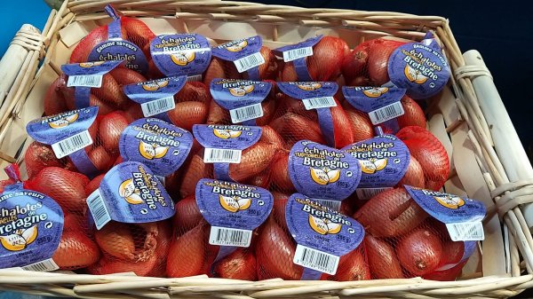Brittany Shallot Onions