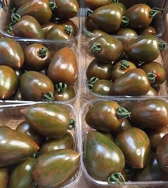Zebrino tomatoes