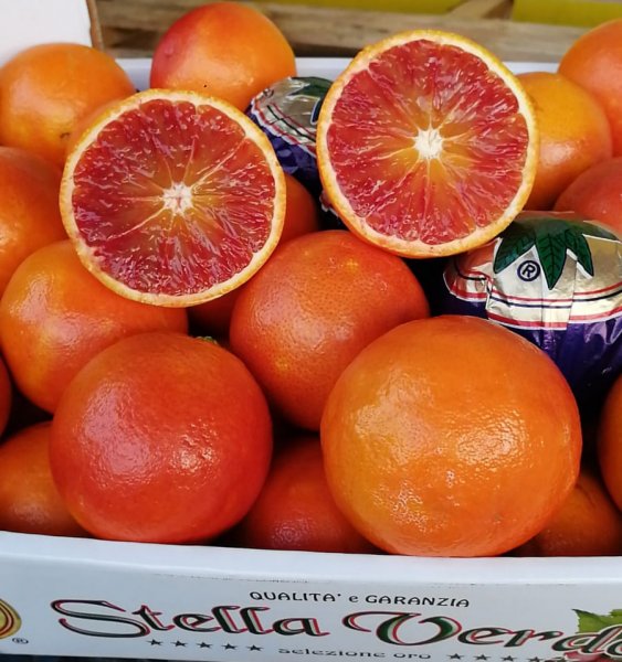 Fresh Blood Oranges full case