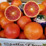 Fresh Blood Oranges full case