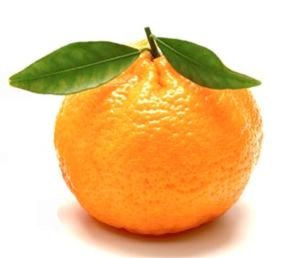 Clementine Tarocco Tacle