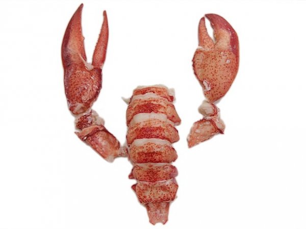 Blue Lobster Tail and Claws Frozen