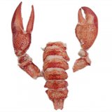 Blue Lobster Tail and Claws Frozen