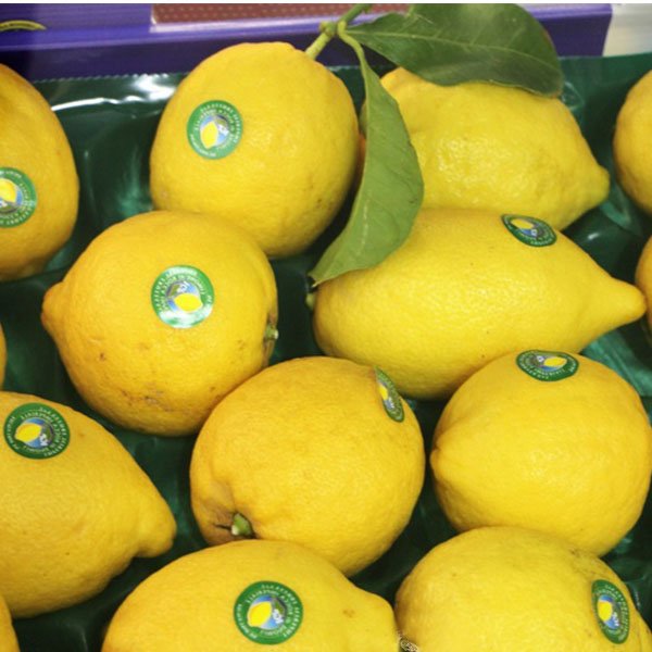Lemons Rocca Imperiale IGP