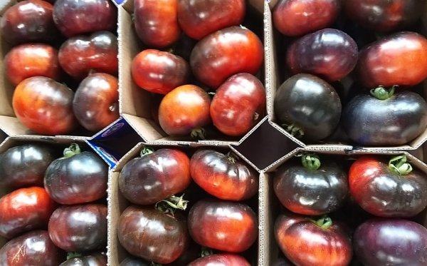 Black Marinda Tomato