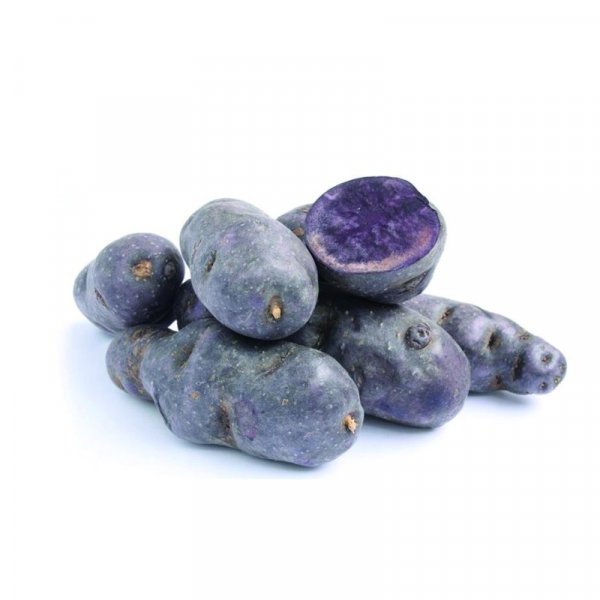 Vitelotte potatoes