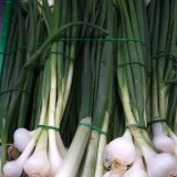 Fresh Spring White Onion