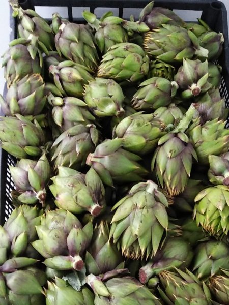 Baby Artichokes