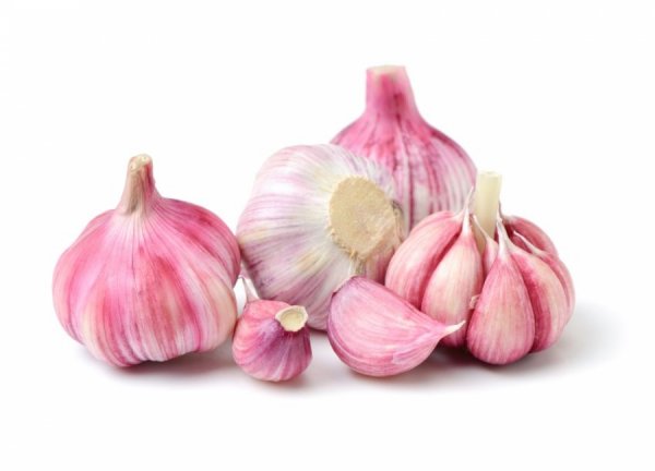 Red Garlic