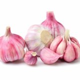 Red Garlic