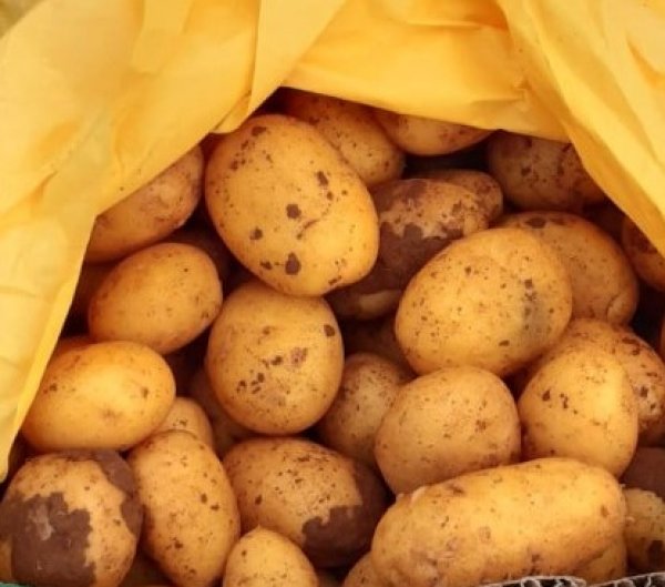 Apulia New Potatoes