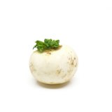 White Turnip