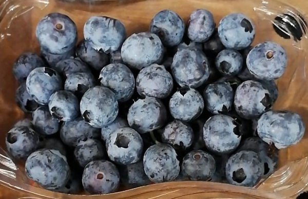 Blueberry