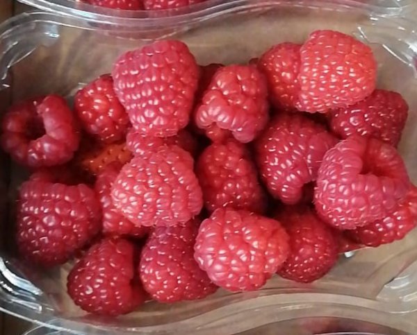 Raspberries