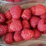 Raspberries