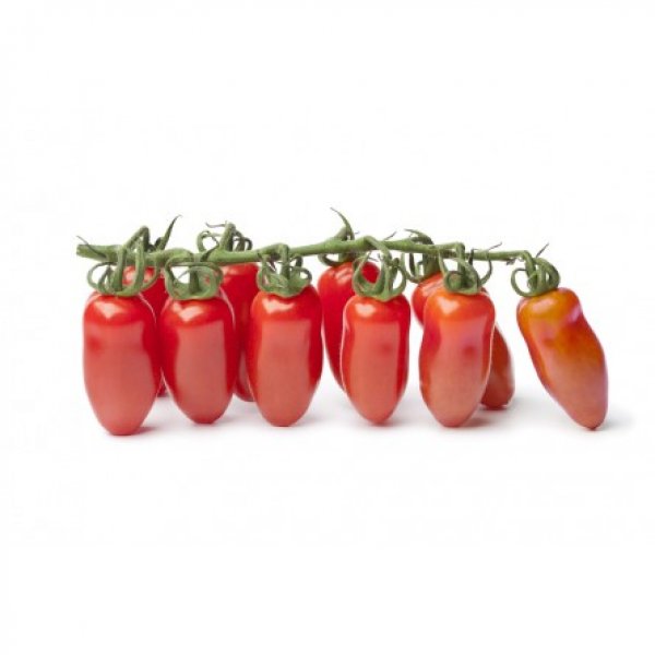 Baby San Marzano Tomato