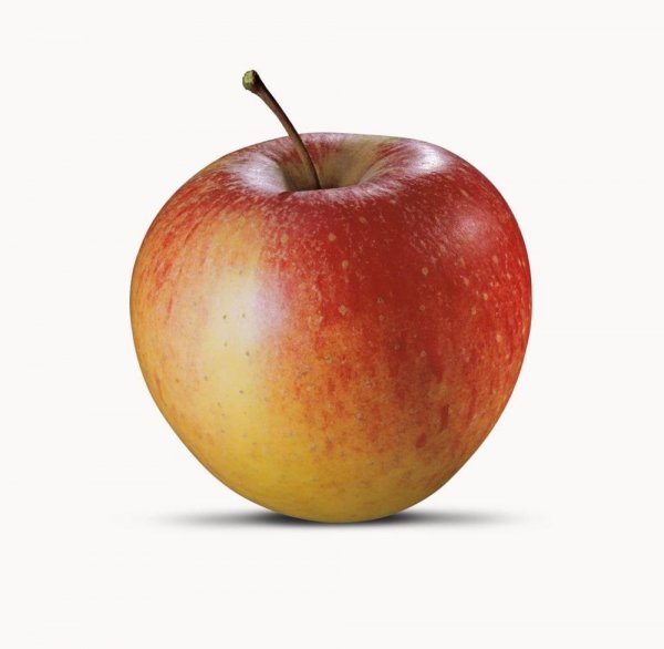 Organic apple Pinova