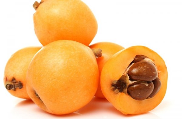 Medlar - Nespole