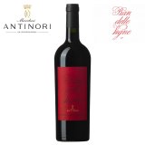 Rosso di Montalcino DOC 2019 Pian delle Vigne Marchesi Antinori