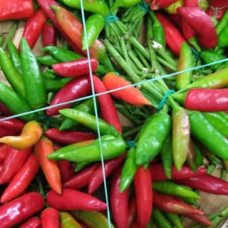 Fresh Calabrian Chili