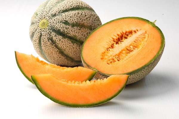 High Quality Sicilian Melon