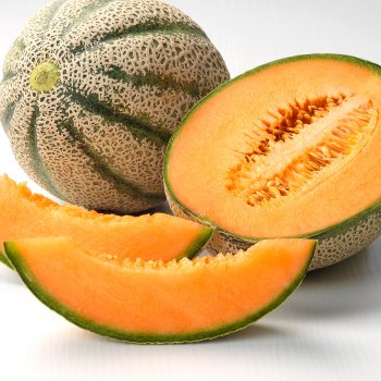 organic_netted_melon