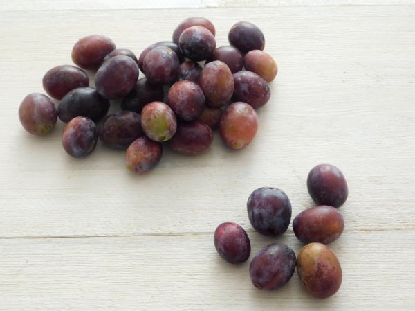 Red Ramassin Plums