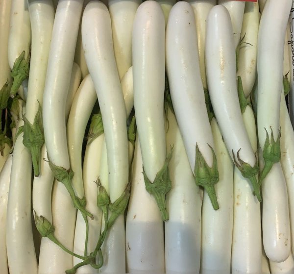 Perlina Eggplant