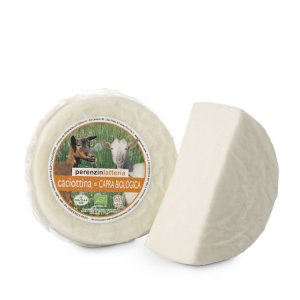Organic Goat caciottina cheese