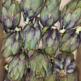 Violet Artichokes