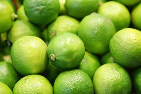 Italian lime