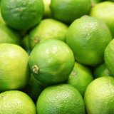 Italian lime