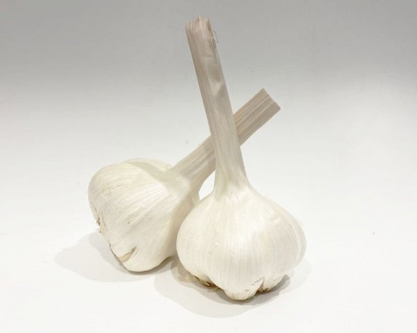 Valdichiana Aglione
