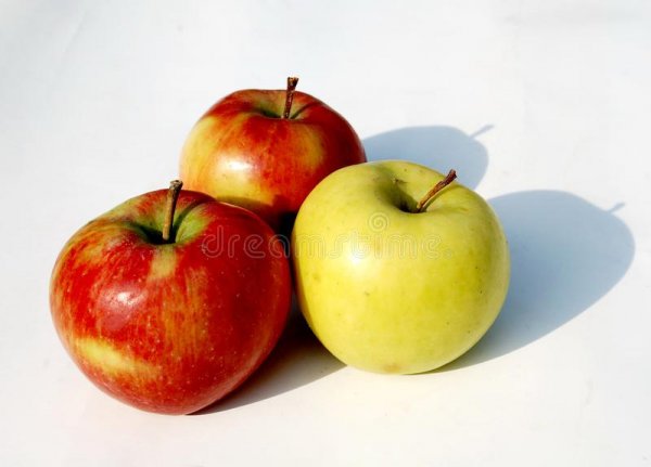 Selection of Apples