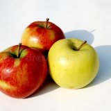 Selection of Apples