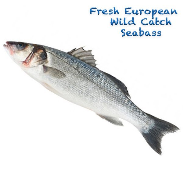 Wild Catch Seabass 2-3kg