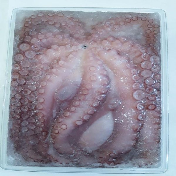 Frozen octopus 2-3kg