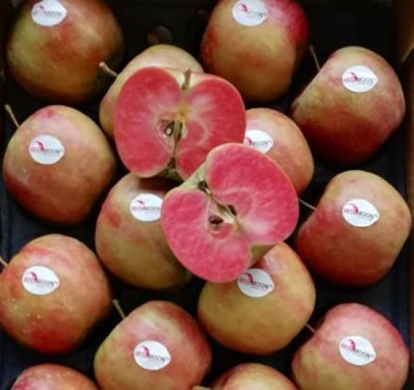 Red moon Apple