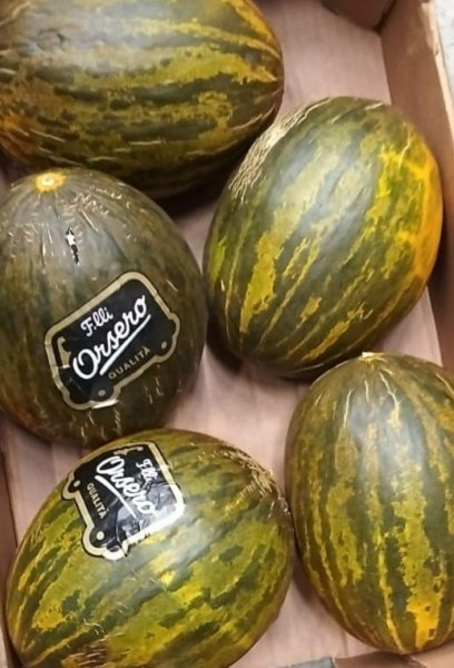 Green Melon White Pulp