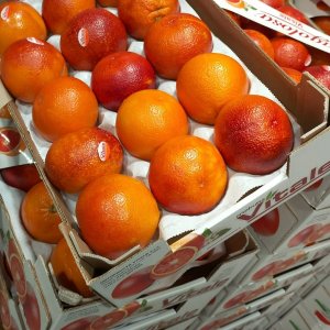 Fresh Blood Oranges full case