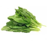 Green Chard Bieta costine